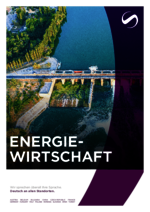 SAXINGER-AT_BF_2024-04_DE_Energiewirtschaft.pdf