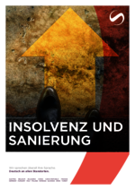 SAXINGER-AT_BF_2024-04_DE_Insolvenz-und-Sanierung.pdf