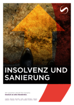 SAXINGER-AT_BF_2025-02_DE_Insolvenz-und-Sanierung.pdf