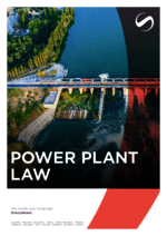 SAXINGER-AT_BF_2025-02_EN_Power-plant-law.pdf