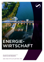 SAXINGER-AT_BF_2025-02_DE_Energiewirtschaft.pdf