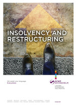 SCWP_BF_Insolvency-and-Restructuring_web_en.pdf
