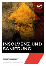 SAXINGER-AT_BF_2024-11_DE_Insolvenz-und-Sanierung_Optimized.pdf