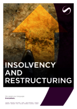 SAXINGER-AT_BF_2024-11_EN_Insolvency-and-Restructuring_Optimized.pdf