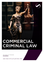 SAXINGER-AT_BF_2024-11_EN_Commercial-Criminal-law.pdf