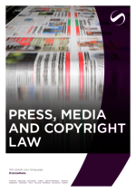 SAXINGER-AT_BF_2025-02_EN_Press-Media-and-Copyright-law.pdf