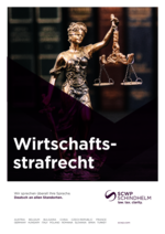 SCWP_BF_Wirtschaftsstrafrecht_23_DE.pdf