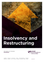 SCWP_BF_Insolvency-and-Restructuring_23_EN.pdf