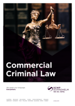 SCWP_BF_Commercial-Criminal-law_23_EN.pdf